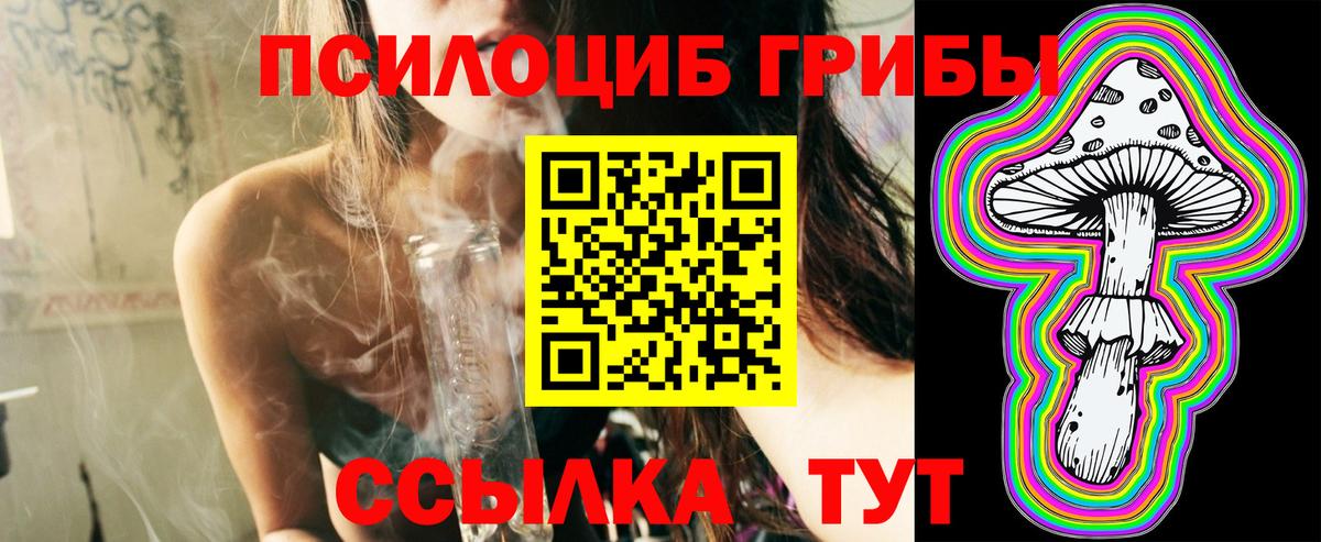Псилоцибиновые грибы Cubensis  магазин  наркотиков  Коркино  Вход с VPN 